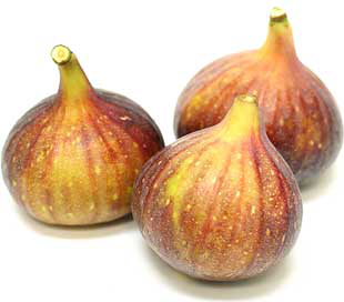 Brown Turkey Figs picture