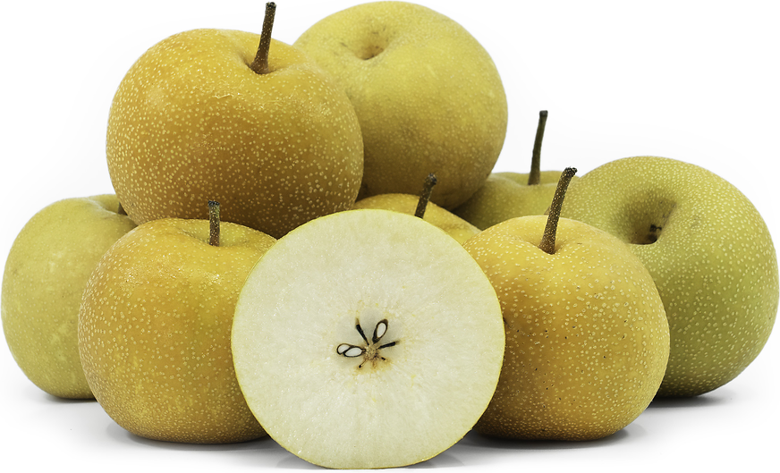 Kosui Asian Pears picture