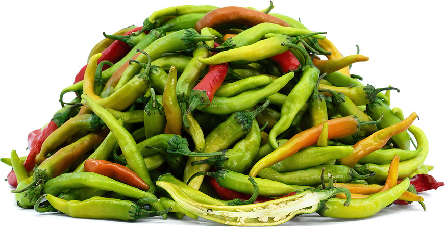 Fushimi Chile Peppers picture