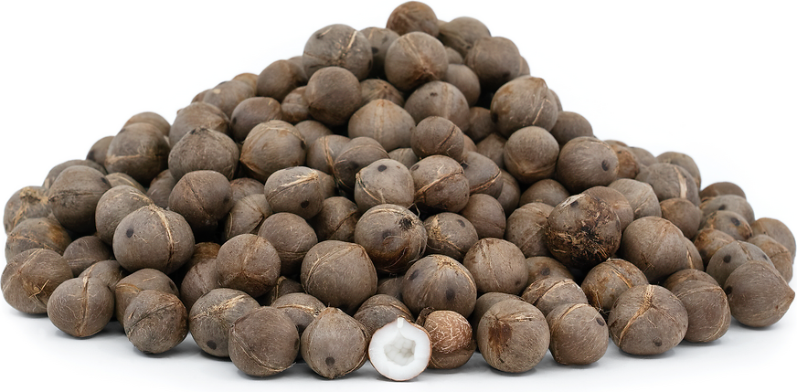 Coquito Nuts picture