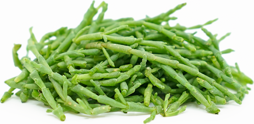 Micro Sea Beans™ picture