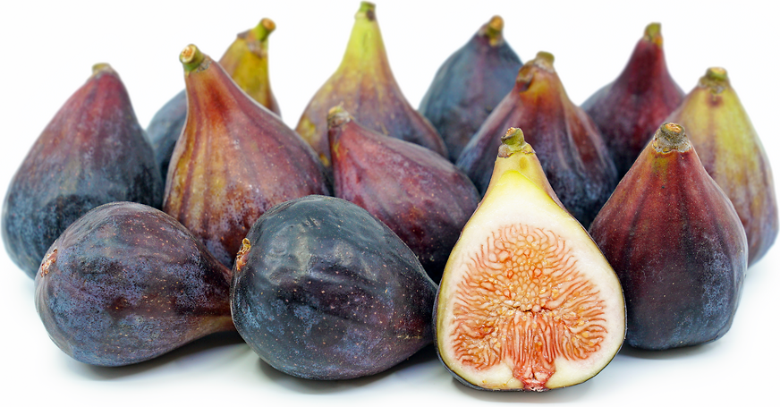 black mission fig