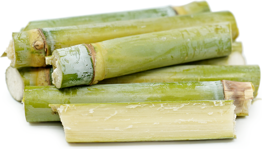 Long Sugar Cane picture