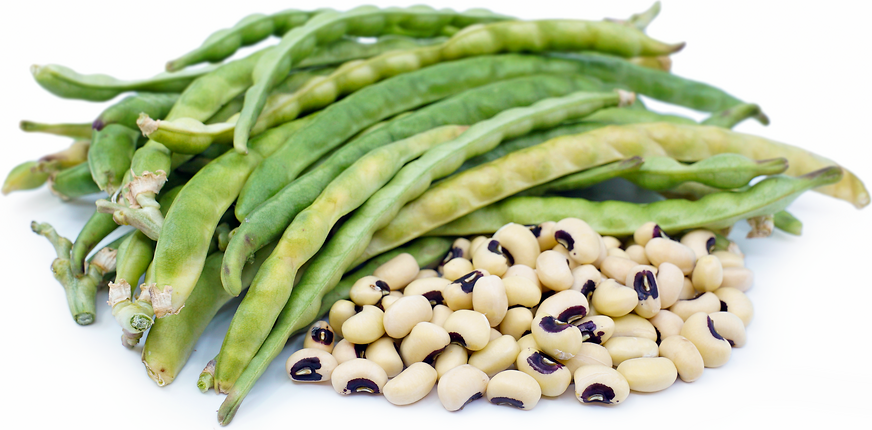 Black-Eyed Peas (Cowpeas): Nutrition Facts and Benefits