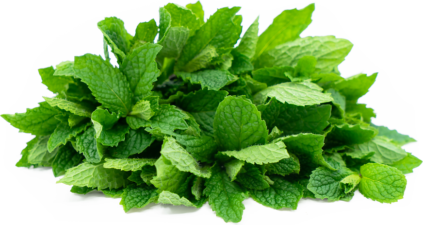 Spearmint picture