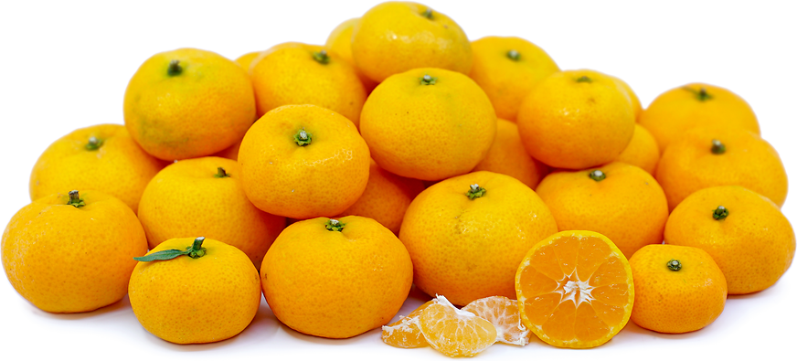 Kishu Tangerines picture