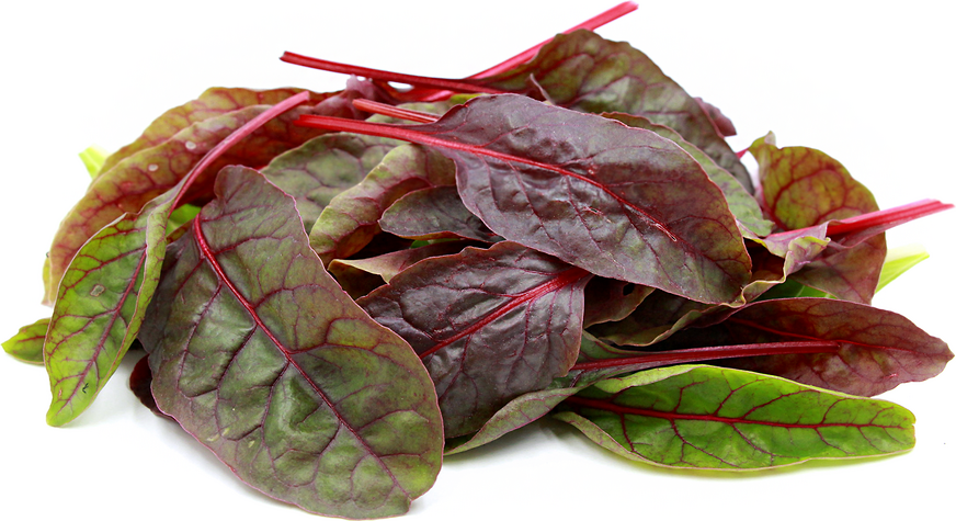 Swiss Chard Leaves