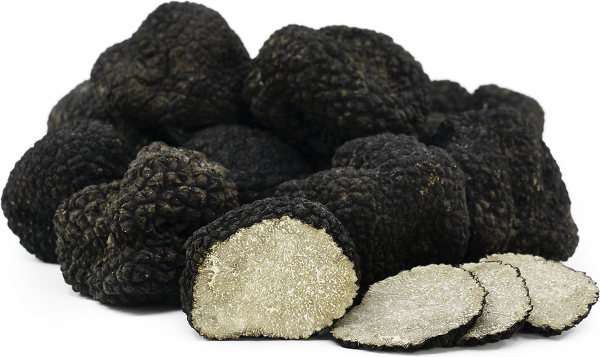 Burgundy Truffles Information, Recipes and Facts