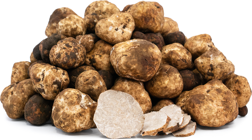 White Oregon Truffles picture