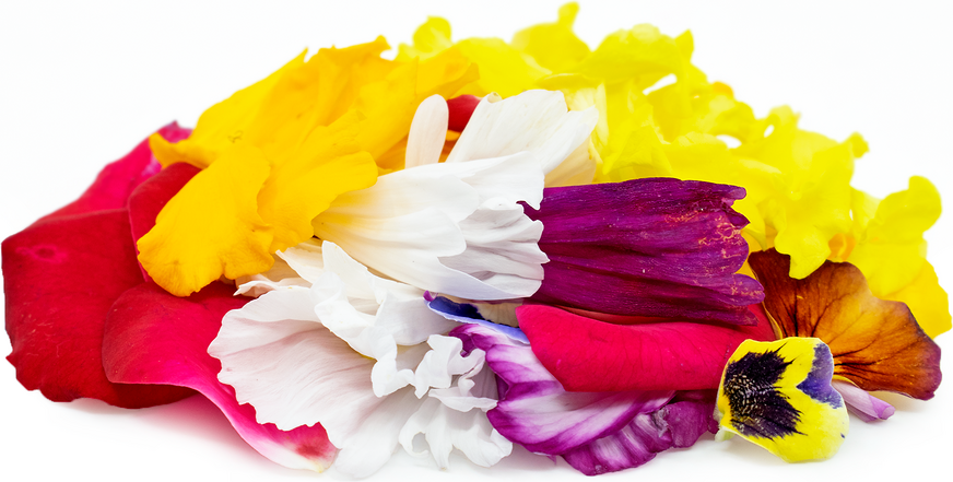 Premium Confetti Flowers picture