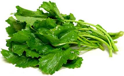 Rapini picture