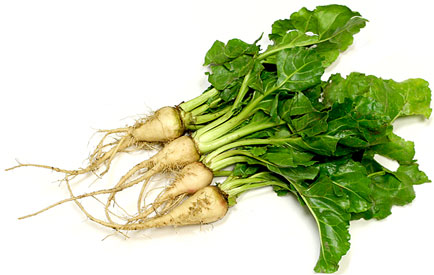 White Beets picture