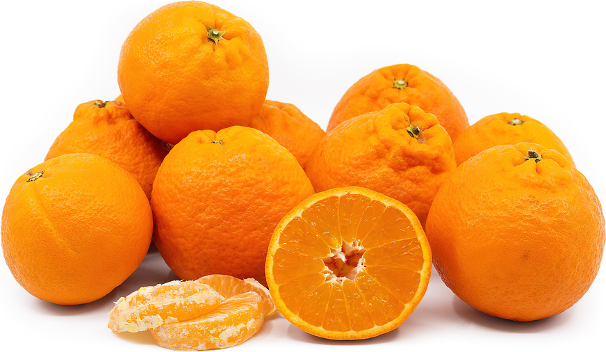  California TANGERINES FRESH PRODUCE FRUIT VEGETABLES 3 LB BAG :  Grocery & Gourmet Food