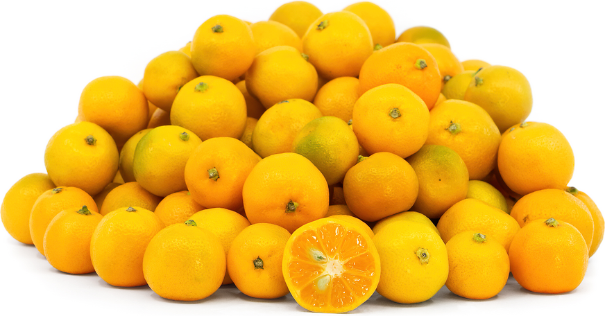 Calamondin Limes picture