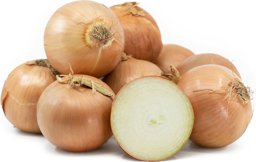 Yellow Onions picture