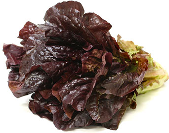 Red Outrageous Lettuce picture