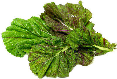 Red Mustard Greens picture