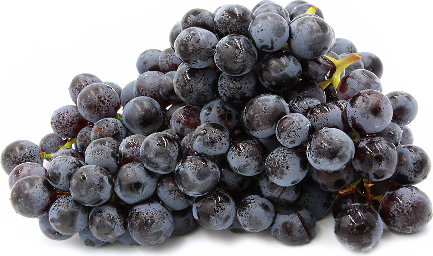 Concord Seedless Grapes Information, Recipes and Facts