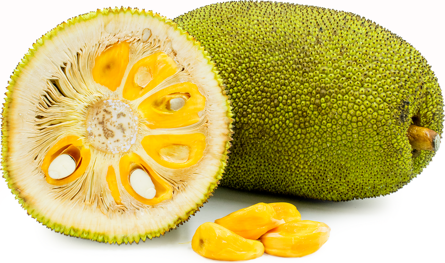 Jack Fruit picture