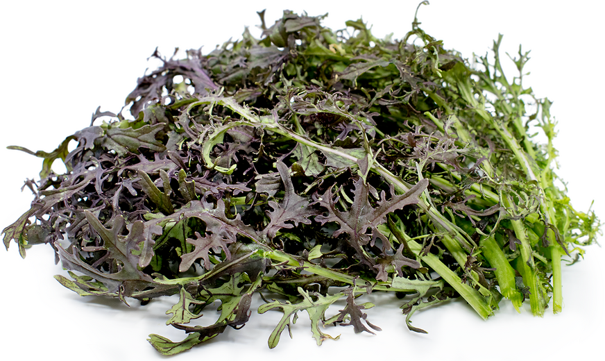 Red Mustard Greens Recipe