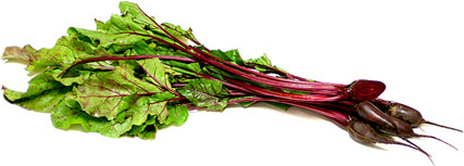 Cylindra Beets picture