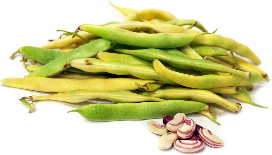 Tiger's Eye Shelling Beans picture