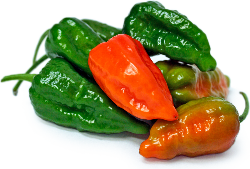 Green Ghost Chile Peppers picture