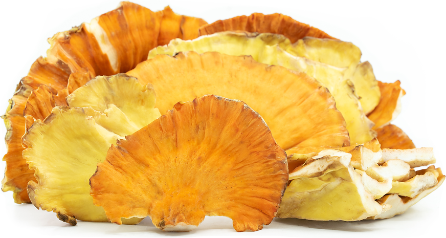Chicken of the Woods Mushrooms picture
