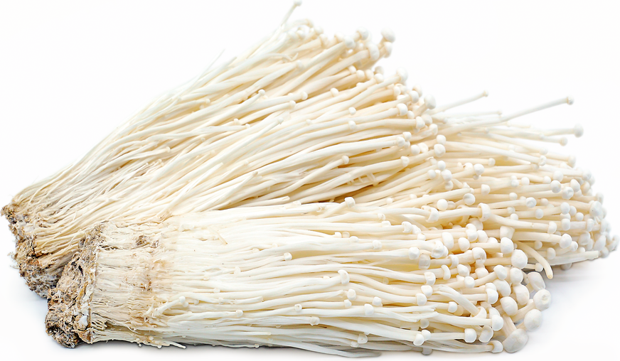 Enoki Mushrooms Information, Recipes and Facts