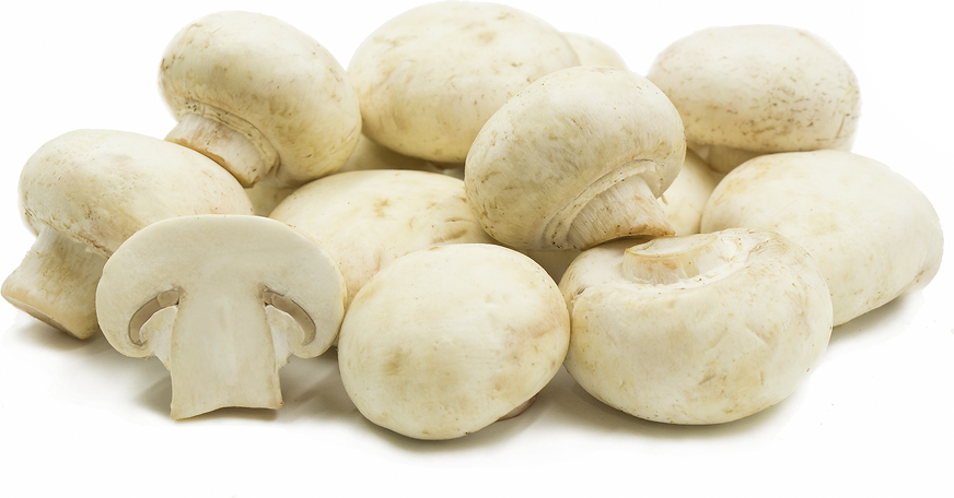 White Medium Mushrooms picture