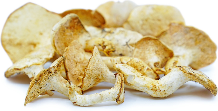 Hedgehog Mushrooms picture