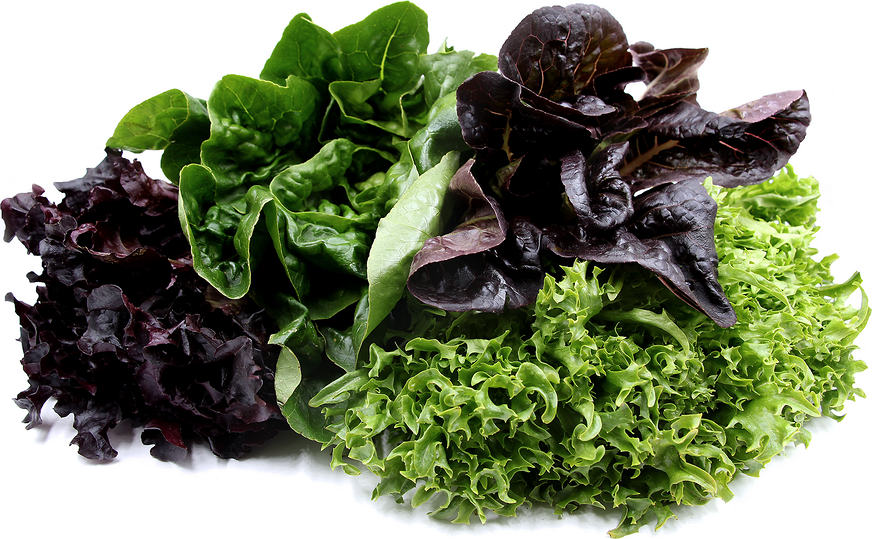 Naked Mixed Artisan Lettuce Information and Facts