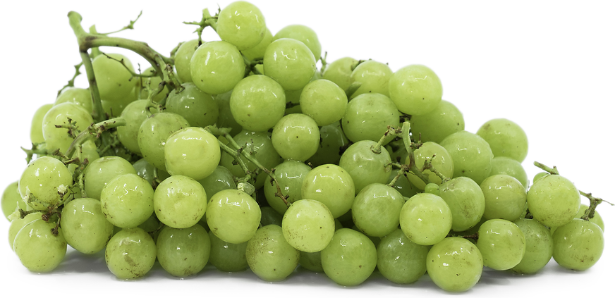 Organic Green Muscat Grapes, 1 lb, Fruit World Company