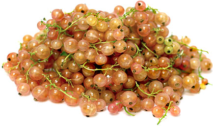 White Currants picture