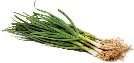Fresh Green Garlic Information and Facts
