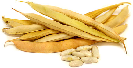 Cannelini Shelling Beans picture