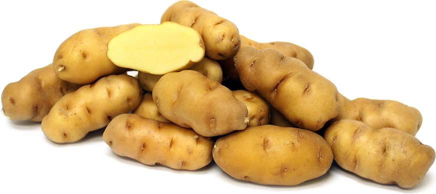 Ozette Potatoes picture