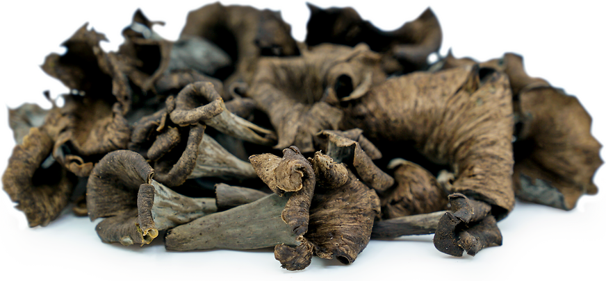 Black Trumpet Mushrooms picture