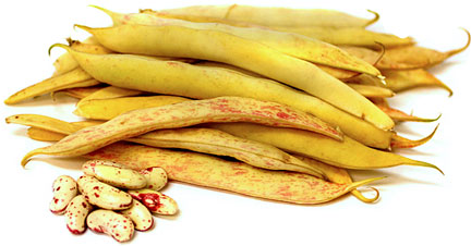 Paint Shelling Beans Information and Facts