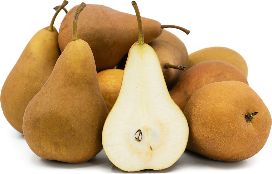 Bosc Pears