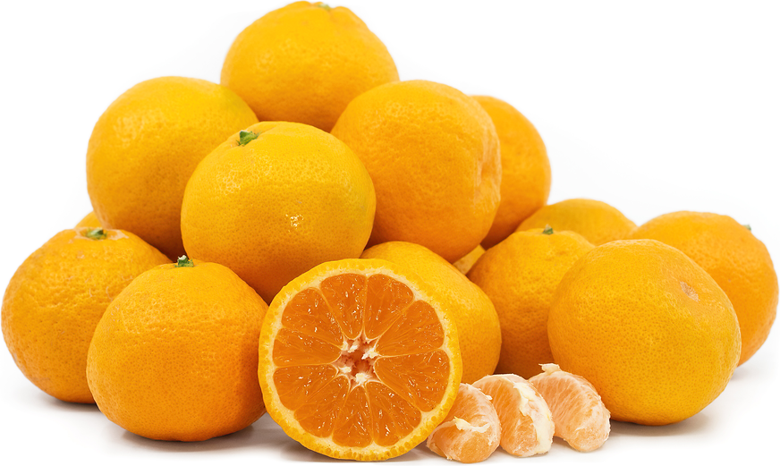 Seedless Satsuma Tangerines Information, Recipes and Facts