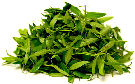 Micro Pepper Green picture