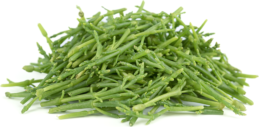 Petite® Sea Beans picture