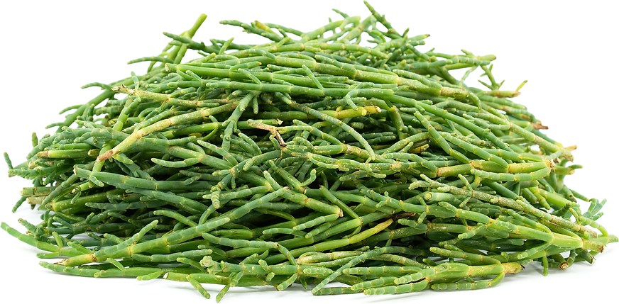 Sea Beans picture