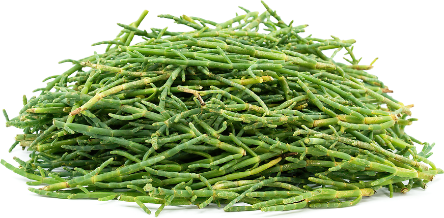 What are Sea Beans: Unlocking the Ocean's Edible Gems