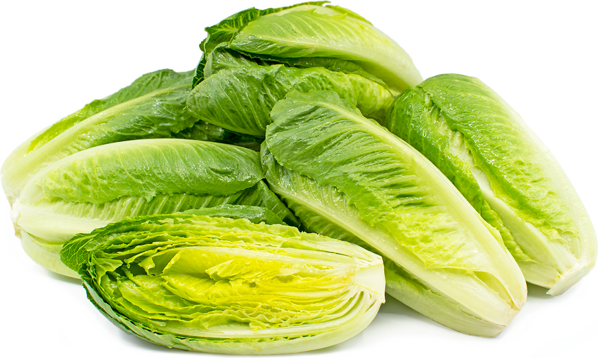 romaine baby hearts artisan specialtyproduce