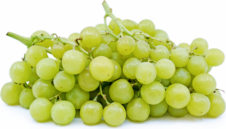 Green Muscat Grapes picture