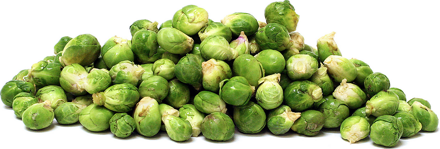 Micro Brussels Sprouts picture
