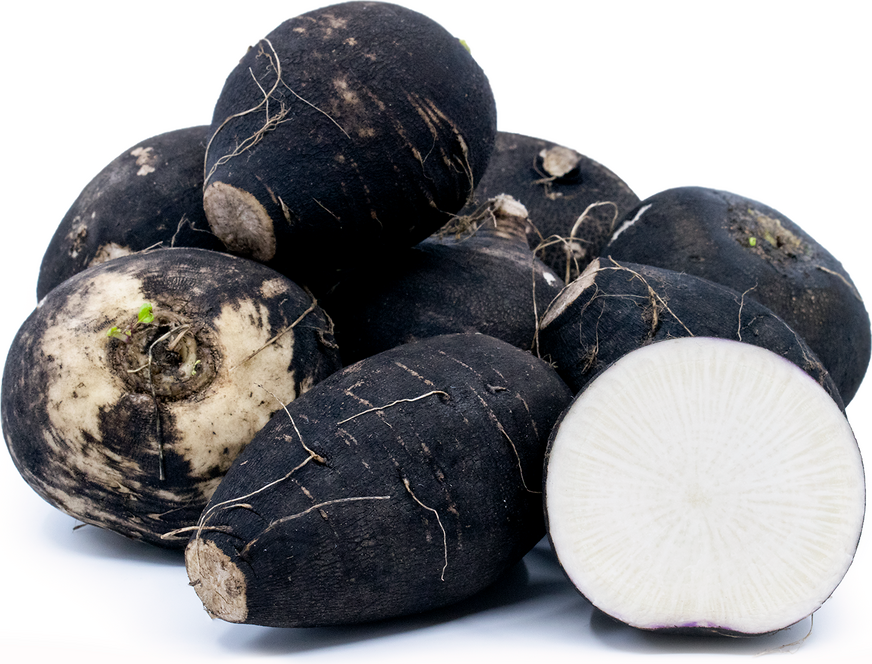 Black Radish picture