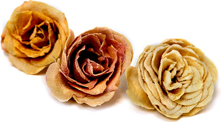 Crystallized Rose Flowers picture